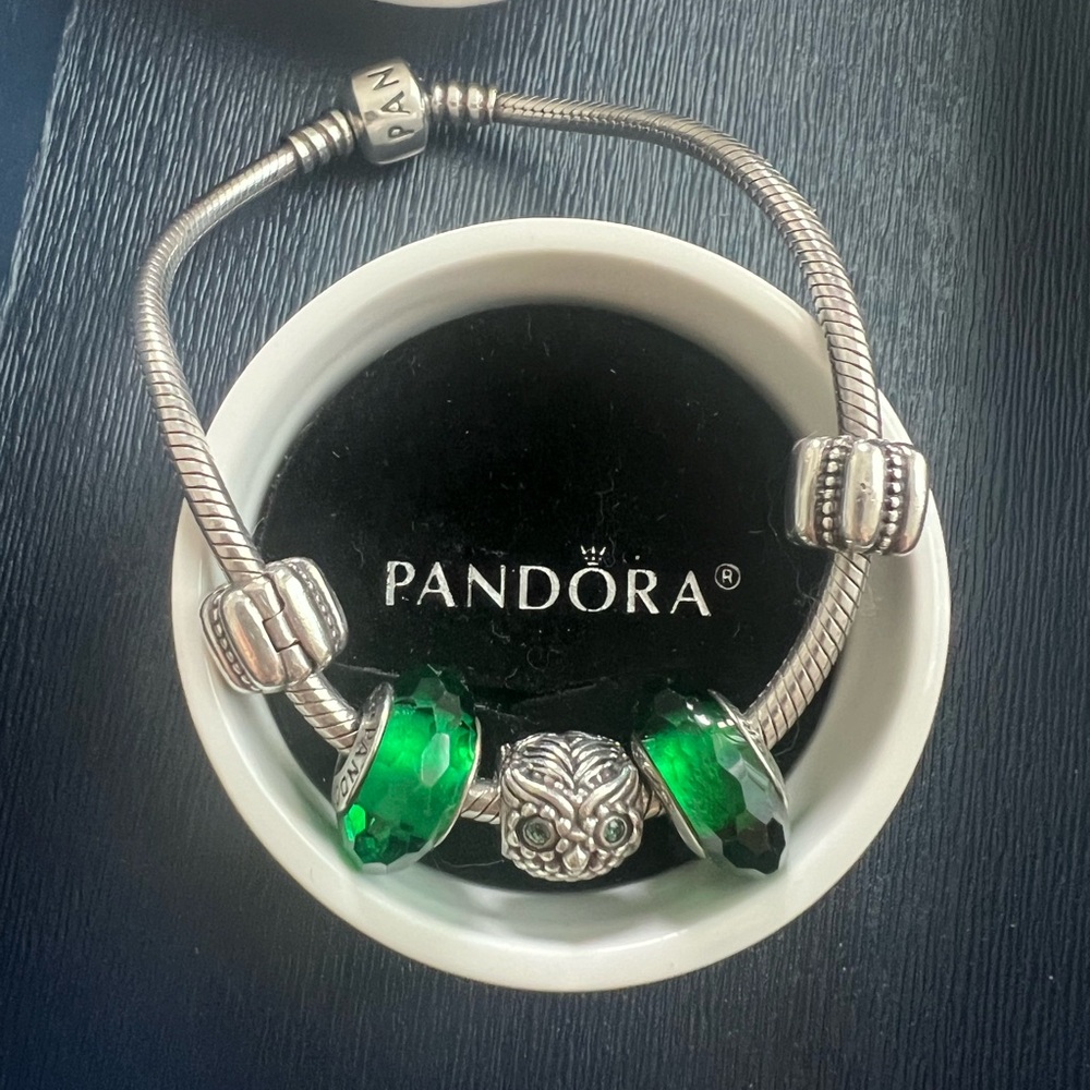 Pandora Authentic 925 Ale Bracelet Bundle - image 3